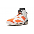 Nike Air Jordan 6 Retro Gatorade